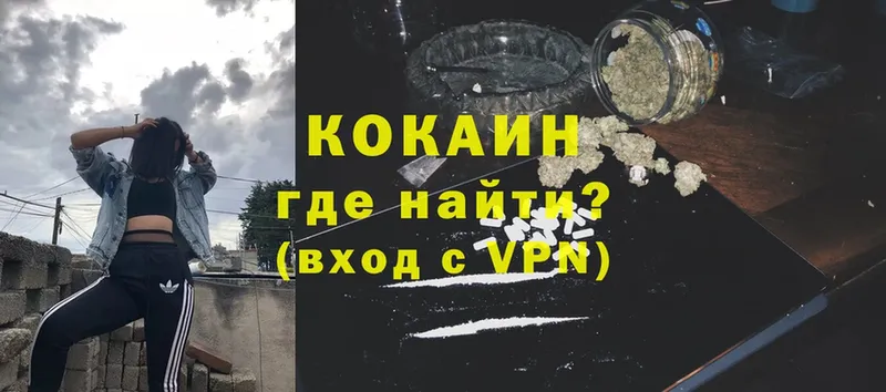 Cocaine FishScale  kraken как зайти  Верхотурье  где можно купить наркотик 